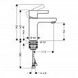 Фотография товара Hansgrohe Metris S   31068000