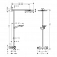 Фотография товара Hansgrohe Raindance 27160000