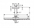 Фотография товара Hansgrohe Raindance E 26250000
