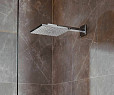 Фотография товара Hansgrohe Raindance E 26238000