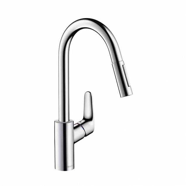 Фотография товара Hansgrohe Focus   31815800